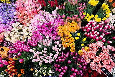 《最终幻想起源：天堂的陌生人》发行后可获DLSS支持